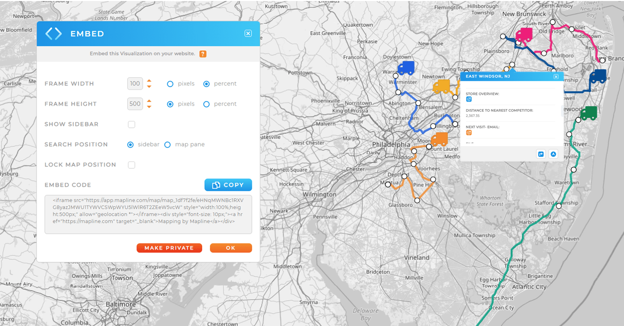 example of a dynamic map image