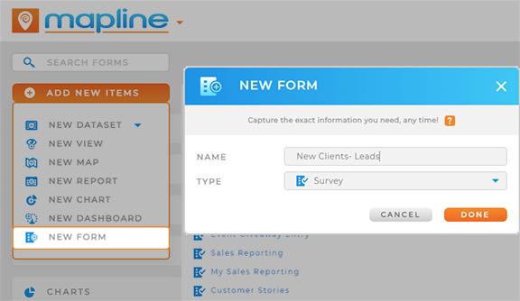 Add a new customer intake form in Mapline