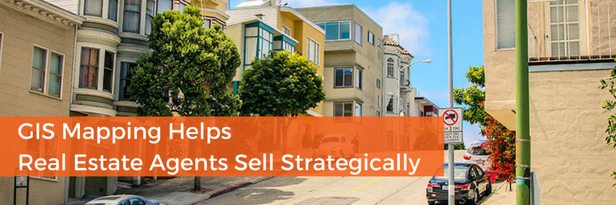 GIS Mapping for Real Estate