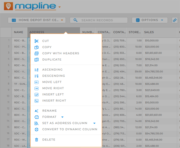 Screenshot of Excel options in Mapline datasets