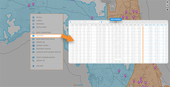 Screenshot of a Mapline territory report with 'Action Columns' highlighted