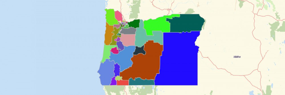 US State Legislative District Map